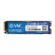 EVM 256GB M.2 NVMe Internal SSD