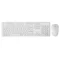 Rapoo X260 Wireless Keyboard and Mouse Combo set 2.4 Ghz with Type Writer Key - Green Apple Compunet