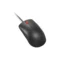 Lenovo 120 Wired Plug & Play USB Mouse - Green Apple Compunet