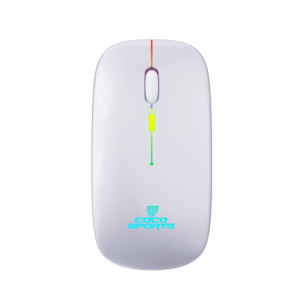 Coconut WM20 Lucid Wireless + Bluetooth Mouse, Rechargeable, Dual Connectivity (Silver)
