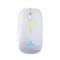 Coconut WM20 Lucid Wireless + Bluetooth Mouse, Rechargeable, Dual Connectivity (Silver) - Green Apple Compunet