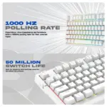 Cosmic Byte Phantom Gasket Mechanical Wired Swappable Keyboard with PreLubed Switches (White) - Image 5