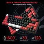 CASTOR K631 PRO – 65% BLUETOOTH + 2.4GHZ WIRELESS + WIRED RGB MECHANICAL KEYBOARD (RED SWITCH) - Image 2