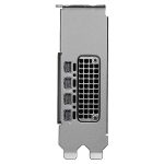 PNY NVIDIA RTX PRO 2000 Blackwell Graphics Card - Image 2