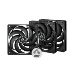 Arctic P12 Slim PWM PST Triple Pack 120mm Cabinet Fan