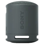 SONY SRS-XB100 2.5W Portable Bluetooth Speaker (IP67 Waterproof, 1.0 Channel, Black)