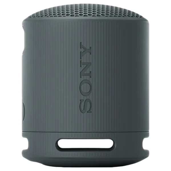 SONY SRS-XB100 2.5W Portable Bluetooth Speaker (IP67 Waterproof, 1.0 Channel, Black)