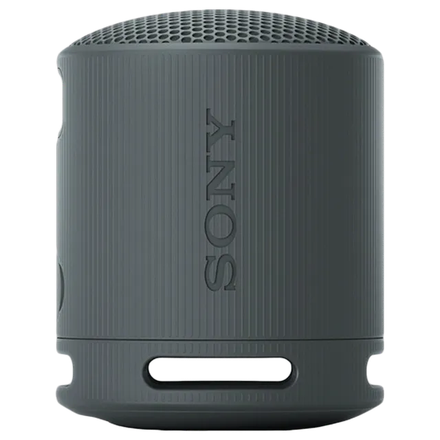 SONY SRS-XB100 2.5W Portable Bluetooth Speaker (IP67 Waterproof, 1.0 Channel, Black)