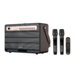 Aiwa MI-X 450 Pro Enigma (Rose Gold) high Efficiency Audio with Retro Styling