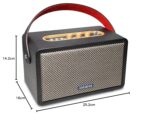 Aiwa RS-X 100 Natsukasii Pro (Black) Bluetooth Speaker with Powerfull Bass - Image 2