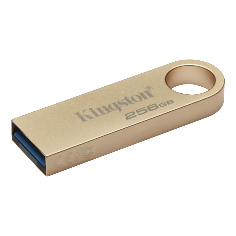 Kingston DataTraveler SE9 G3 256GB USB 3.2 Gen 1 Metal Flash Drive (DTSE9G3/256GB)