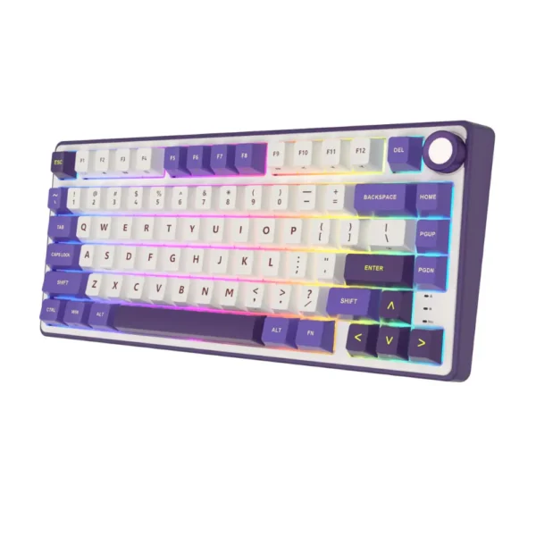 RK Royal Kludge R75 Wired Mechanical Gaming Keyboard, 75% TKL, Hot-Swappable Knob, RGB, Blackberry Mousse, Brown Switch