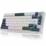 RK ROYAL KLUDGE H81 White Night Wireless Mechanical Gaming Keyboard - Blue Switch