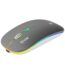 EVM EnGrip Wireless Mouse (EWLM-360)