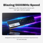 EVM 24GB (1x24GB) DDR5 5600MHz Desktop Memory RAM - Image 3