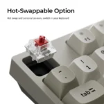 Keychron C1 Pro 8K Swappable RGB Backlight Red Switch – Retro