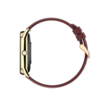 Noise Twist Go Smartwatch – Smart Features Fitness Tracking & Stylish Design Gold Wine