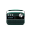 Saregama Carvaan Premium Hindi Portable Music Player Emerald Green