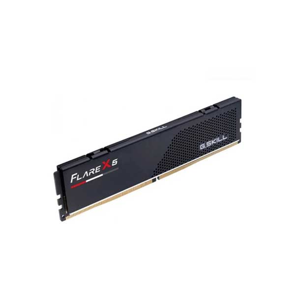 G.SKILL Flare X5 16GB (16GBX1) DDR5 6000MHz CL30 Desktop RAM
